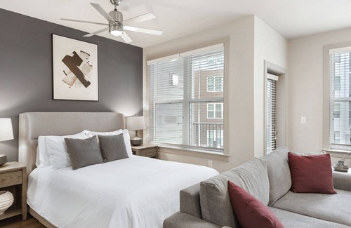 Plaza Midwood Apartment | Modern Apartment in Prime Location (ID8417X32)