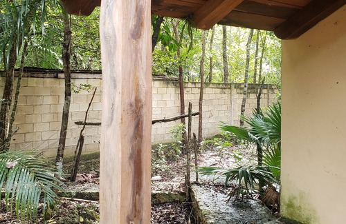 Benito Juarez Cabin | Modern Cabin in the Mayan Jungle Ecological Reserve