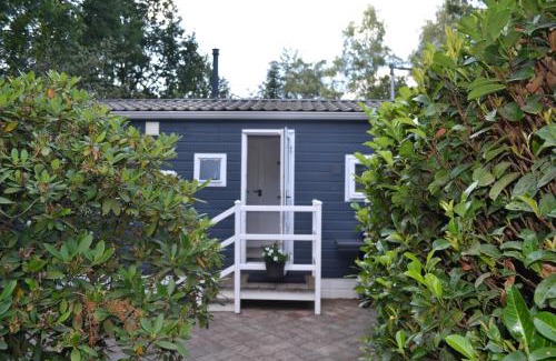 Municipality of Epe Ski Chalet | Modern chalet in de bossen van de Veluwe