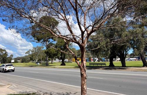 Wagga Wagga Apartment | Modern City Townhouse with all the Comforts