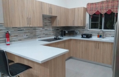 Old Trees Bay House | Modern Comfortable Quite