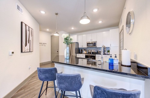 Conroe Apartment | Modern Corporate Haven