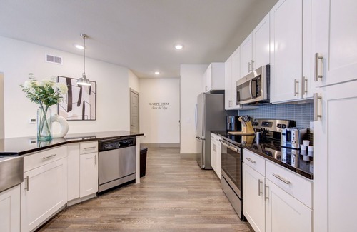 Conroe Apartment | Modern Corporate Haven