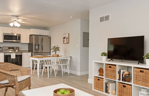 Downtown Dunedin Apartment | Modern Family-friendly Flat Downtown