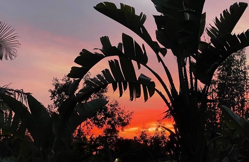 Leucadia Cottage | Modern Farmhouse Cottage 5 minutes from the beach!