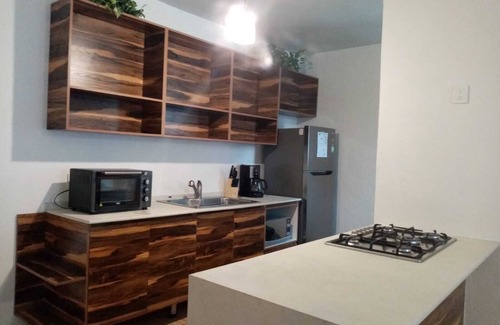 Manzanillo Apartment | Modern & Spacious Manzanillo Apartment near all shops