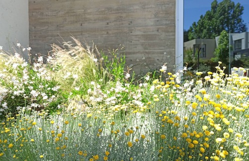 Chacras de Coria House | Moderna casa para 5 Chacras de Coria