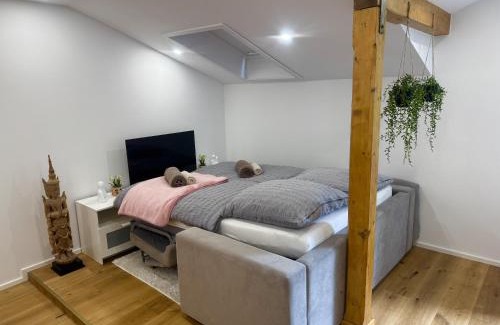 Bernau am Chiemsee Apartment | Modernes Apartment mit Balkon zwischen Chiemsee und Kampenwand