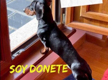 Figueras (Castropol) Apartment | MODERNO PISO CON LA MEJOR TERRAZA DE RIBADEO Y VISTAS MARAVILLOSAS