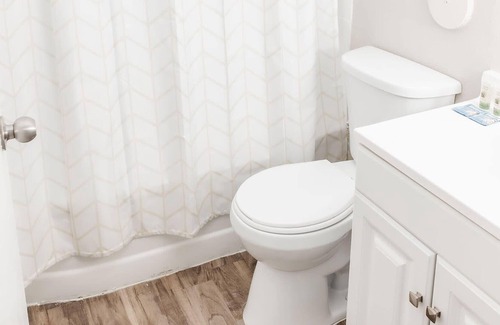 St. Louis Apartment | Modest Oasis w/Ample Free Street Parking