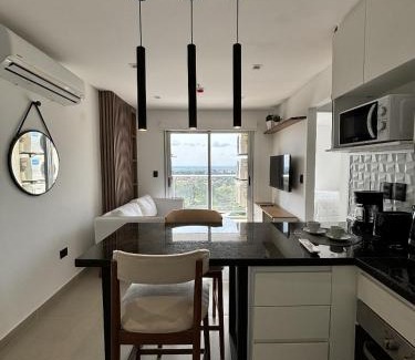 Asuncion Apartment | Molas tower 11E