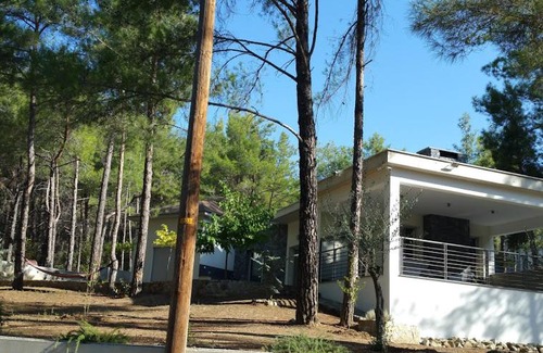 Saittas Villa | Moniatis Villa