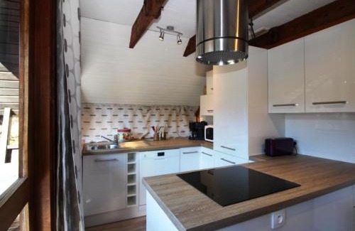 Mont-Dore Ski Chalet | Mont-Dore : Chalet agréable avec WIFI pour 9 personnes - FR-1-608-88