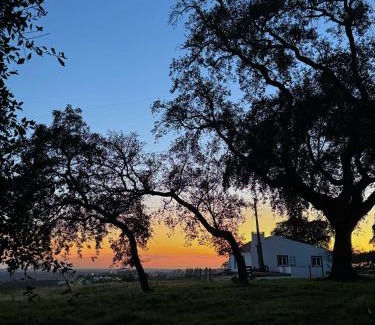 Alcacer do Sal House | Monte da Boavista