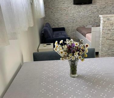 Zabljak Apartment | Montenegro High Mountain Apartment