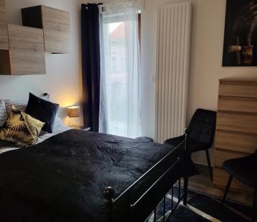 Poznan City Center Apartment | Moon Apartments Poznań