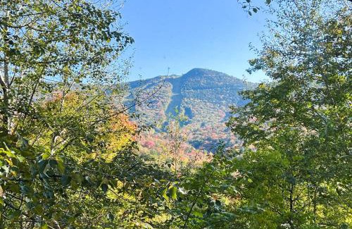 Lincoln Apartment | Moon River Lodge