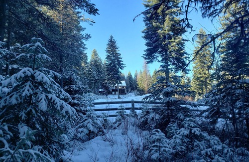 Whitefish Cabin | Moonlight Ridge Cabin