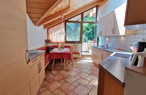 Collalbo Apartment | Moosbachhof - Ferienwohnung Marienkäfer