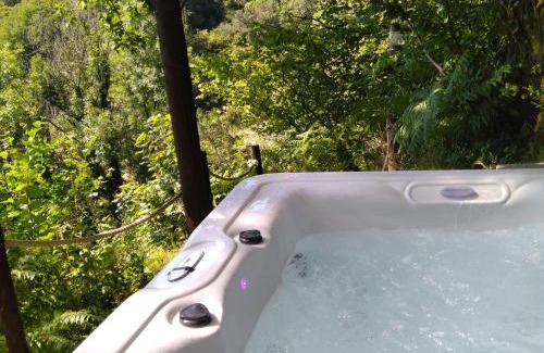 Carmarthen Other | 'Morris' the shepherd's hut and woodland hot tub experience