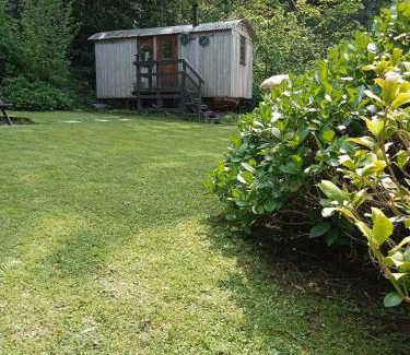 Carmarthen Other | 'Morris' the shepherd's hut and woodland hot tub experience