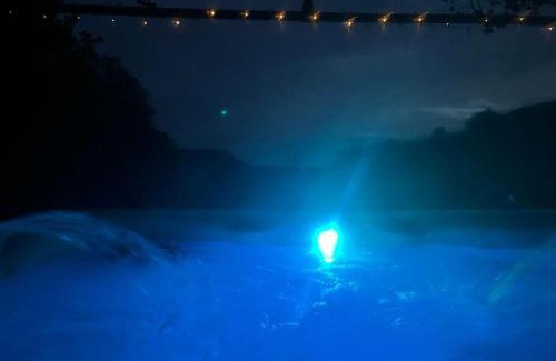 Carmarthen Other | 'Morris' the shepherd's hut and woodland hot tub experience