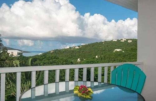Rosendal Villa | Mothers Day in St Thomas, USV! Price just reduced!