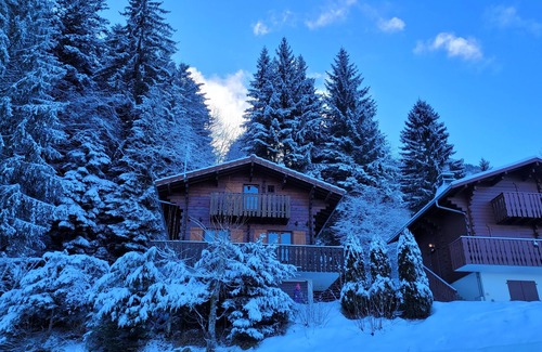 Thollon-les-Memises Ski Chalet | Mountain chalet 6 pers resort Thollon-les-Mémises vue lac Léman cosy/calme