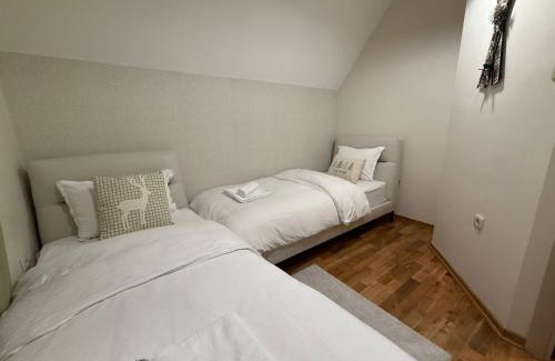 Kolasin Cabin | Mountain house Vilina rosa