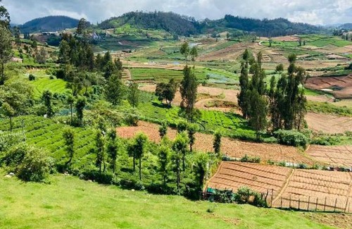 Ooty House | Mountain Mist Meadows