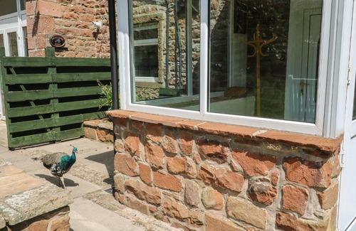 Carlisle House | Mousehole Cottage