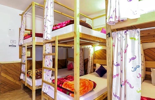 Old Manali Hostel | Moustache Manali