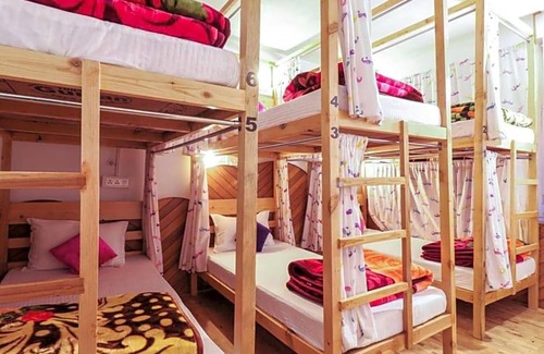 Old Manali Hostel | Moustache Manali