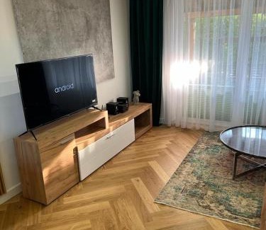 Zywiec Apartment | MS HOUSE Apartament