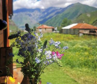 Arsha Ski Chalet | MTA-Shi