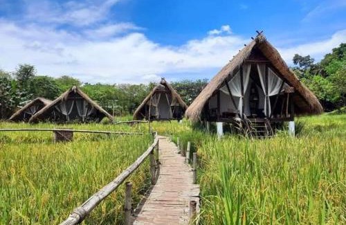 San Jose Other | Mudita Glamping and Villas