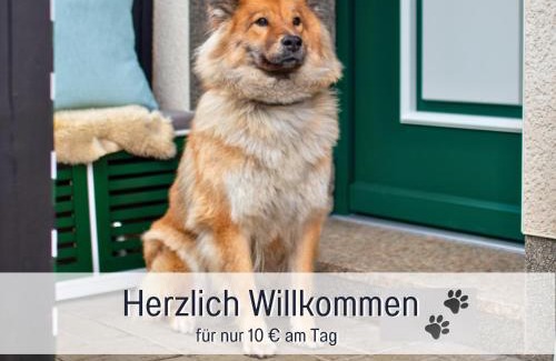 Lennestadt Apartment | Muehls-Sauerland familienfreundlich Perfekt für deine Urlaubsrunde nähe Elspe Festival Hunde willkommen mit Kamin und Garten