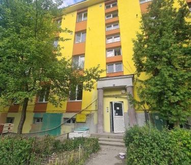 Petrosani Apartment | Mural Art Apartament