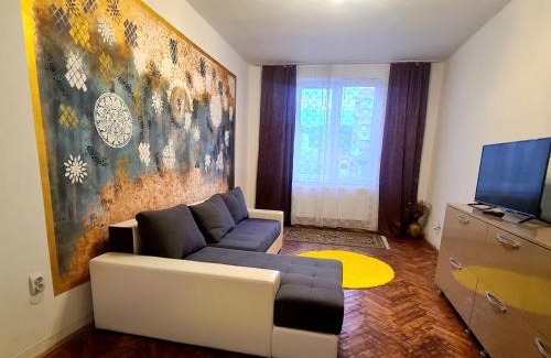 Petrosani Apartment | Mural Art Apartament
