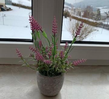 Murau Apartment | Murzeit Zweite