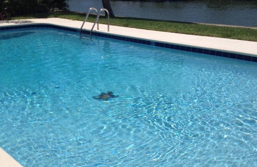 Anona House | Music On The Sea ~waterfront Home~private Pool~ Minutes to Beach