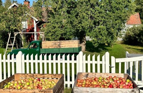 Sodra Vi Bed & Breakfast | Musteriet i Djursdala