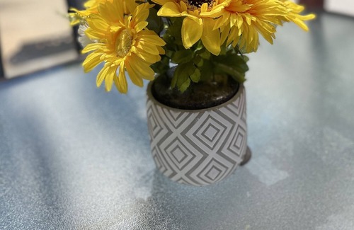 Bellview House | My Copacabana w/Tropical 🏝️Pool near Beach🏖️