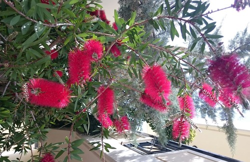 Platanias Town Apartment | Mythos Platanias