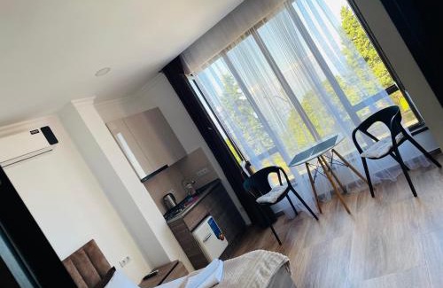 Mtsvane Kontskhi Hotel | Mzıurı House
