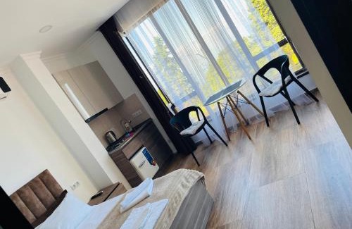 Mtsvane Kontskhi Hotel | Mzıurı House