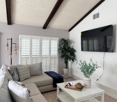 Tampa House | Nacho house