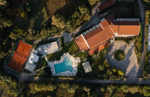 Dassia Hotel | Nafsika Hotel - Adults Only