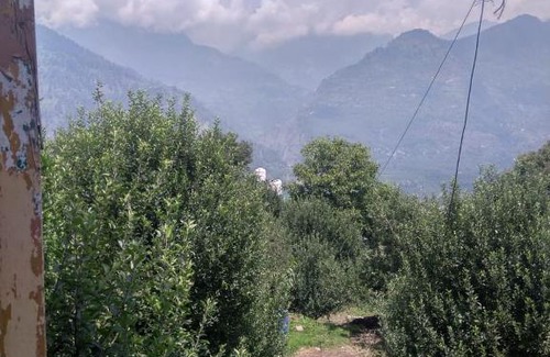 Naggar House | Naggar snow view