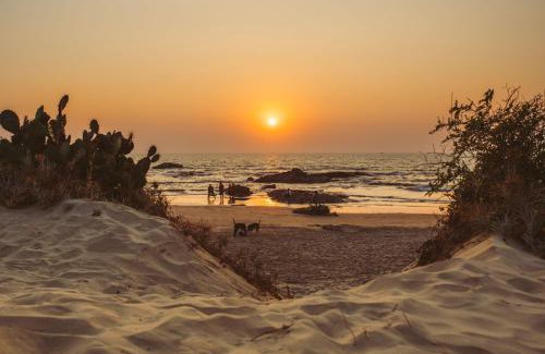 Mandrem Resort | Nalanda Retreat Goa By Mandrem Beach